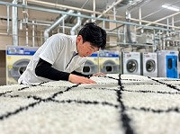 carpetTop
